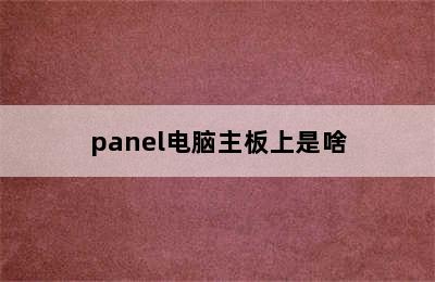 panel电脑主板上是啥