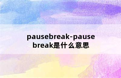 pausebreak-pausebreak是什么意思