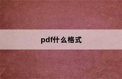 pdf什么格式