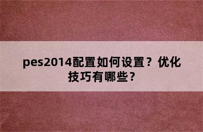 pes2014配置如何设置？优化技巧有哪些？