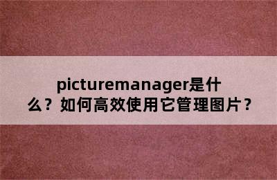 picturemanager是什么？如何高效使用它管理图片？