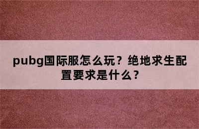 pubg国际服怎么玩？绝地求生配置要求是什么？