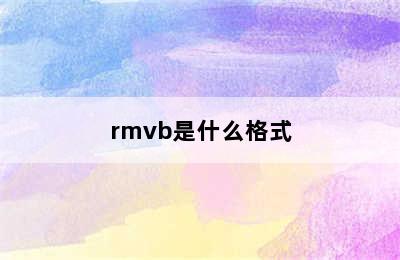 rmvb是什么格式