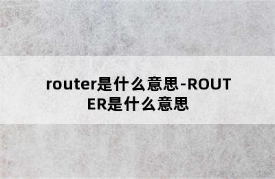 router是什么意思-ROUTER是什么意思