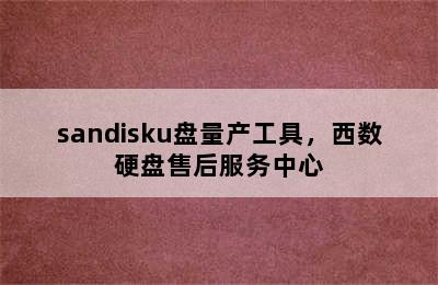 sandisku盘量产工具，西数硬盘售后服务中心