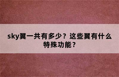 sky翼一共有多少？这些翼有什么特殊功能？