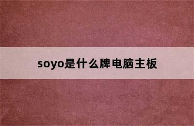 soyo是什么牌电脑主板