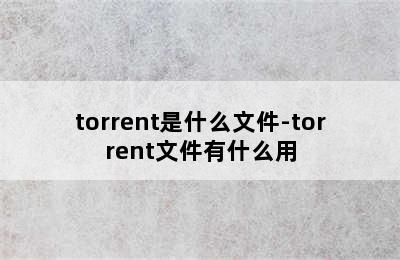 torrent是什么文件-torrent文件有什么用