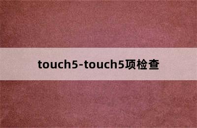 touch5-touch5项检查