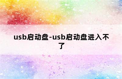 usb启动盘-usb启动盘进入不了