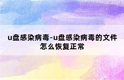 u盘感染病毒-u盘感染病毒的文件怎么恢复正常