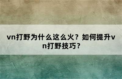 vn打野为什么这么火？如何提升vn打野技巧？