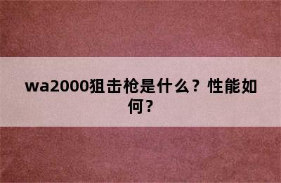 wa2000狙击枪是什么？性能如何？