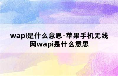 wapi是什么意思-苹果手机无线网wapi是什么意思