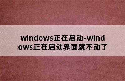 windows正在启动-windows正在启动界面就不动了