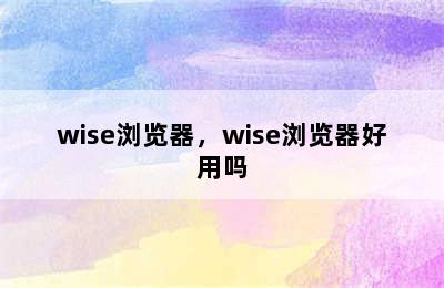 wise浏览器，wise浏览器好用吗