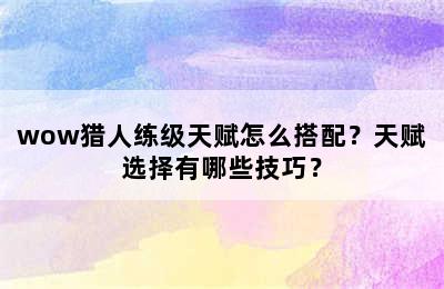 wow猎人练级天赋怎么搭配？天赋选择有哪些技巧？