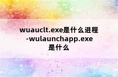 wuauclt.exe是什么进程-wulaunchapp.exe是什么