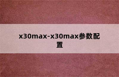 x30max-x30max参数配置
