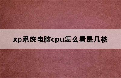 xp系统电脑cpu怎么看是几核