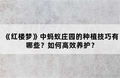 《红楼梦》中蚂蚁庄园的种植技巧有哪些？如何高效养护？