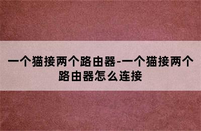 一个猫接两个路由器-一个猫接两个路由器怎么连接