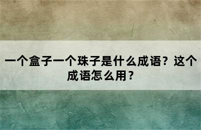 一个盒子一个珠子是什么成语？这个成语怎么用？