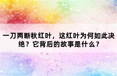 一刀两断秋红叶，这红叶为何如此决绝？它背后的故事是什么？