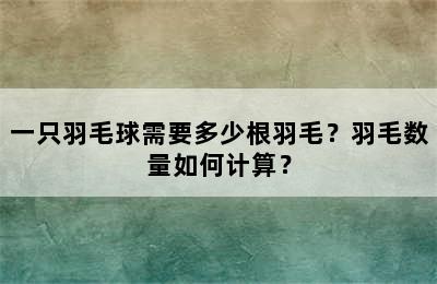 一只羽毛球需要多少根羽毛？羽毛数量如何计算？