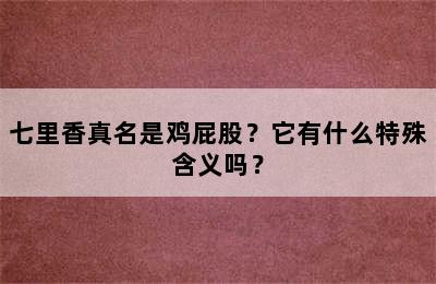 七里香真名是鸡屁股？它有什么特殊含义吗？