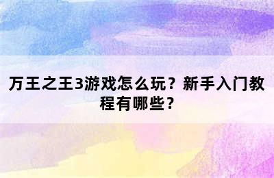 万王之王3游戏怎么玩？新手入门教程有哪些？