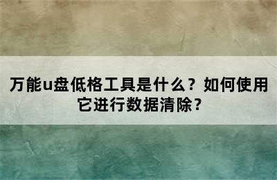 万能u盘低格工具是什么？如何使用它进行数据清除？