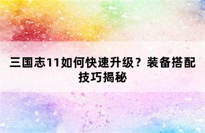 三国志11如何快速升级？装备搭配技巧揭秘