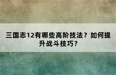 三国志12有哪些高阶技法？如何提升战斗技巧？