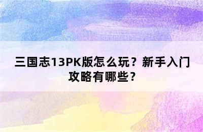 三国志13PK版怎么玩？新手入门攻略有哪些？