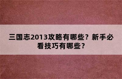 三国志2013攻略有哪些？新手必看技巧有哪些？