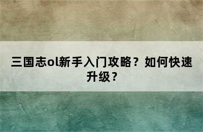 三国志ol新手入门攻略？如何快速升级？