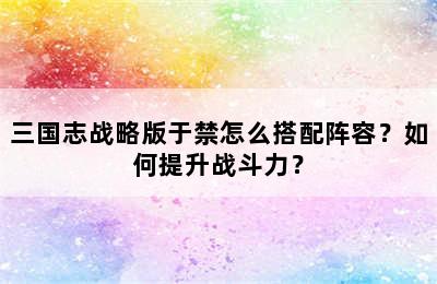 三国志战略版于禁怎么搭配阵容？如何提升战斗力？