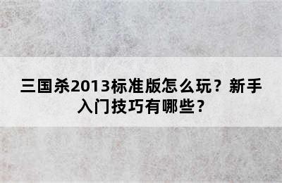 三国杀2013标准版怎么玩？新手入门技巧有哪些？