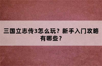 三国立志传3怎么玩？新手入门攻略有哪些？