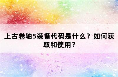 上古卷轴5装备代码是什么？如何获取和使用？