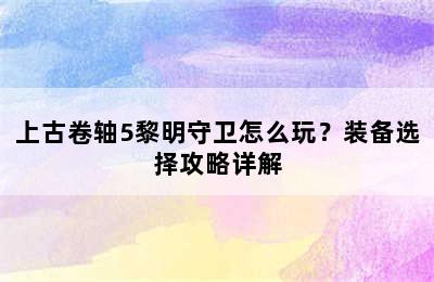 上古卷轴5黎明守卫怎么玩？装备选择攻略详解