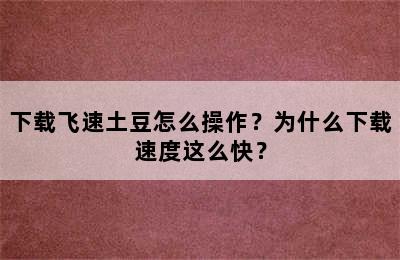 下载飞速土豆怎么操作？为什么下载速度这么快？