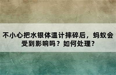 不小心把水银体温计摔碎后，蚂蚁会受到影响吗？如何处理？