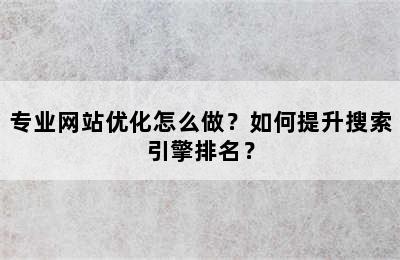 专业网站优化怎么做？如何提升搜索引擎排名？