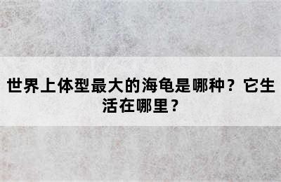 世界上体型最大的海龟是哪种？它生活在哪里？