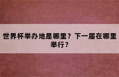 世界杯举办地是哪里？下一届在哪里举行？