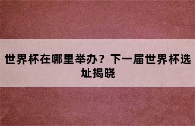 世界杯在哪里举办？下一届世界杯选址揭晓