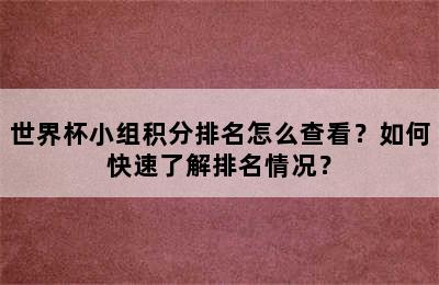 世界杯小组积分排名怎么查看？如何快速了解排名情况？