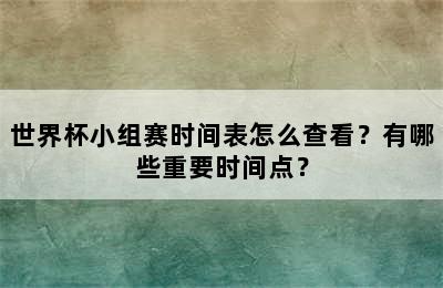 世界杯小组赛时间表怎么查看？有哪些重要时间点？